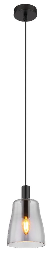 15789H1B a