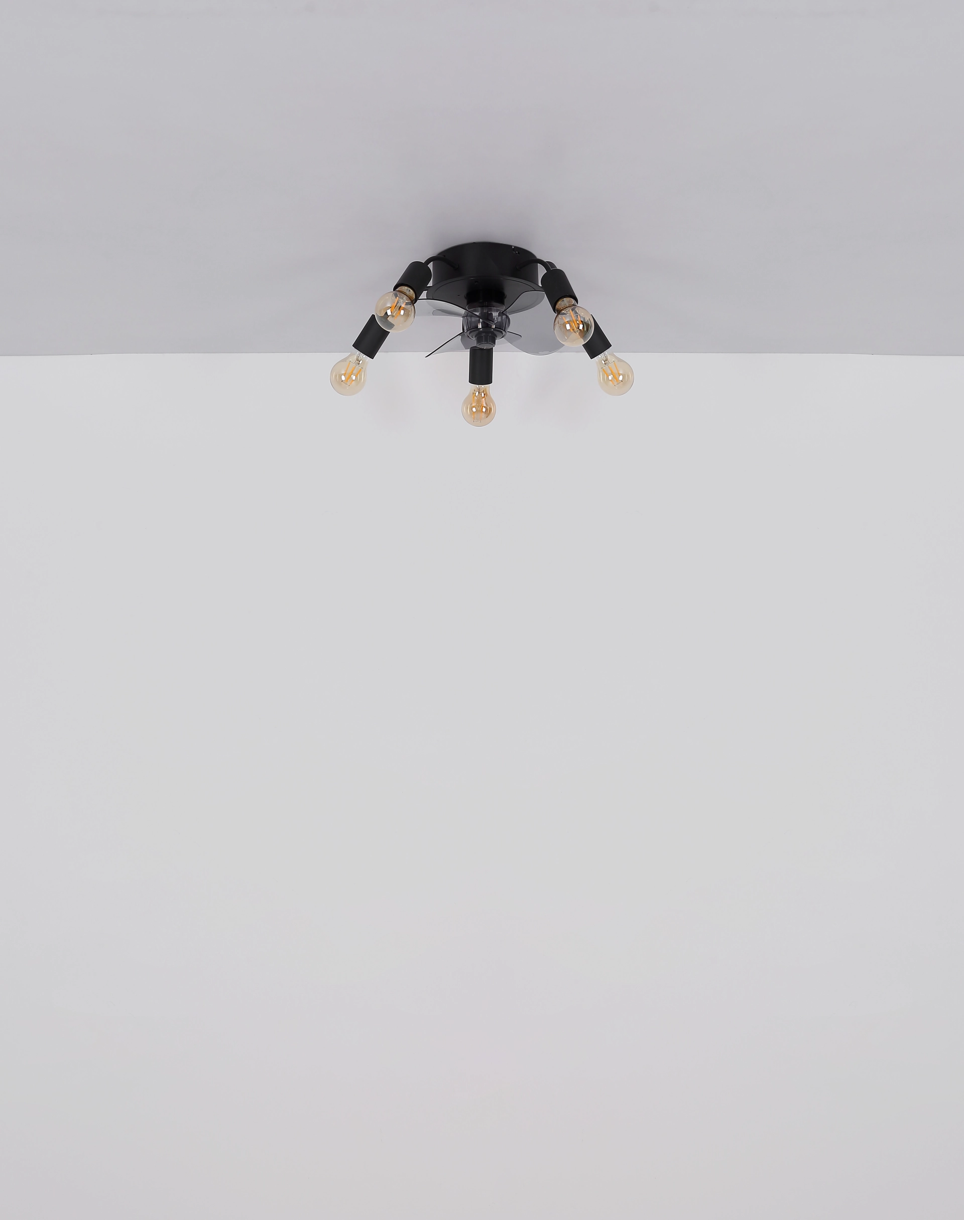03647_u