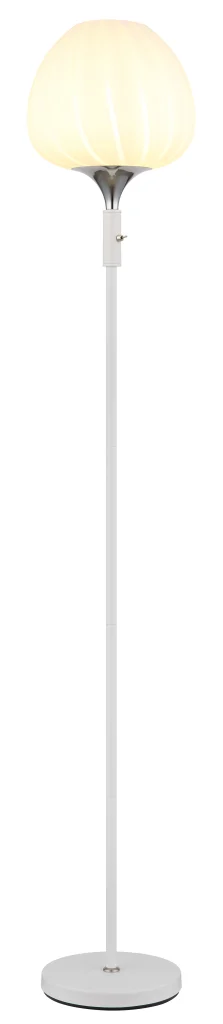 15548S2W_a scaled
