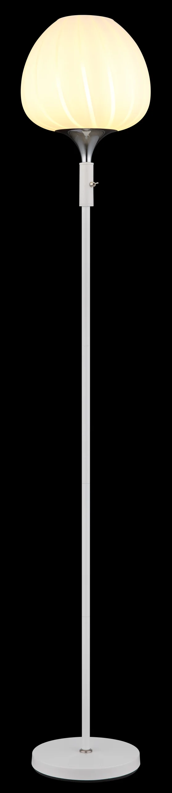 15548S2W_ax scaled