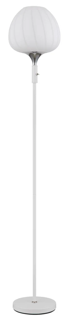 15548S2W_b scaled