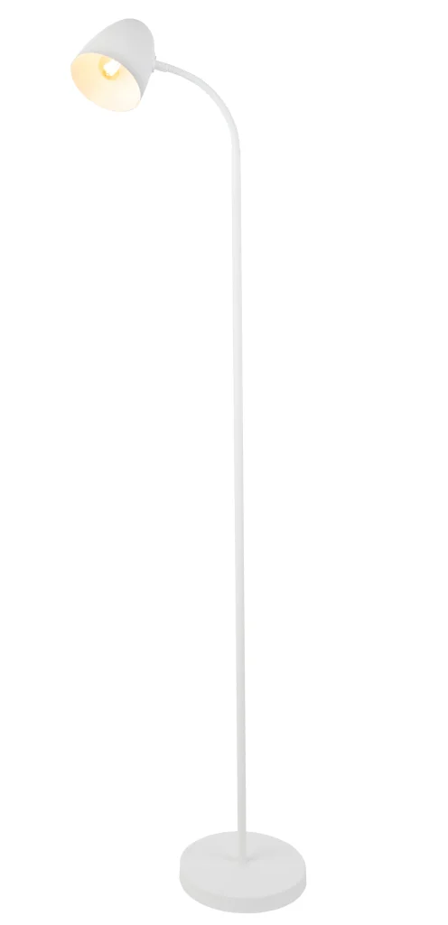 40870107_a scaled
