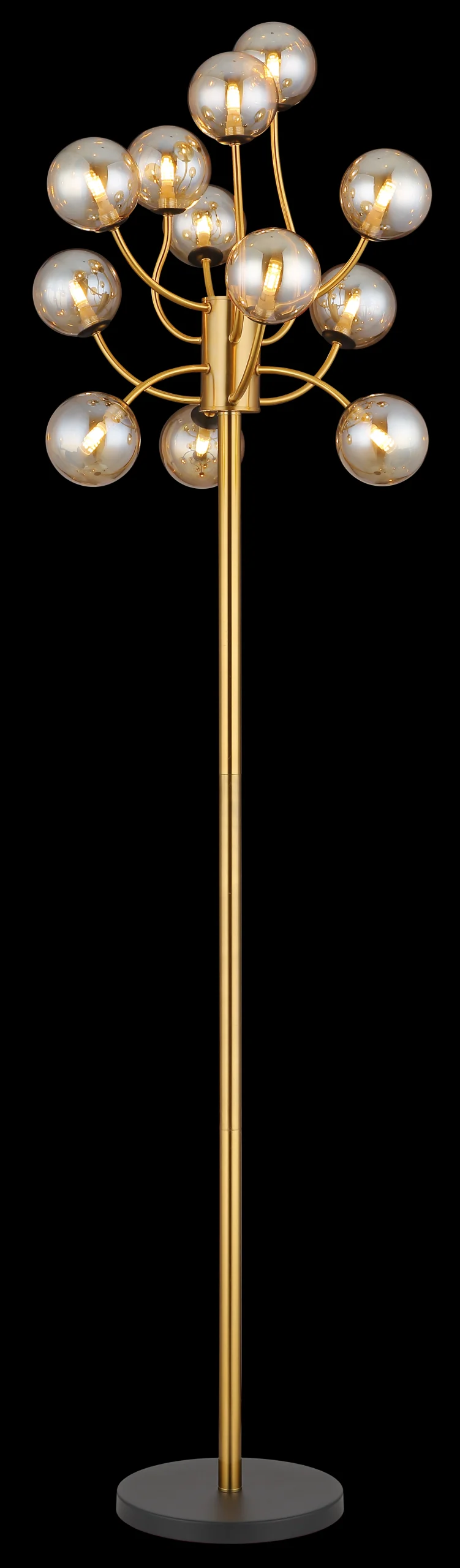 56135 12S_ax scaled