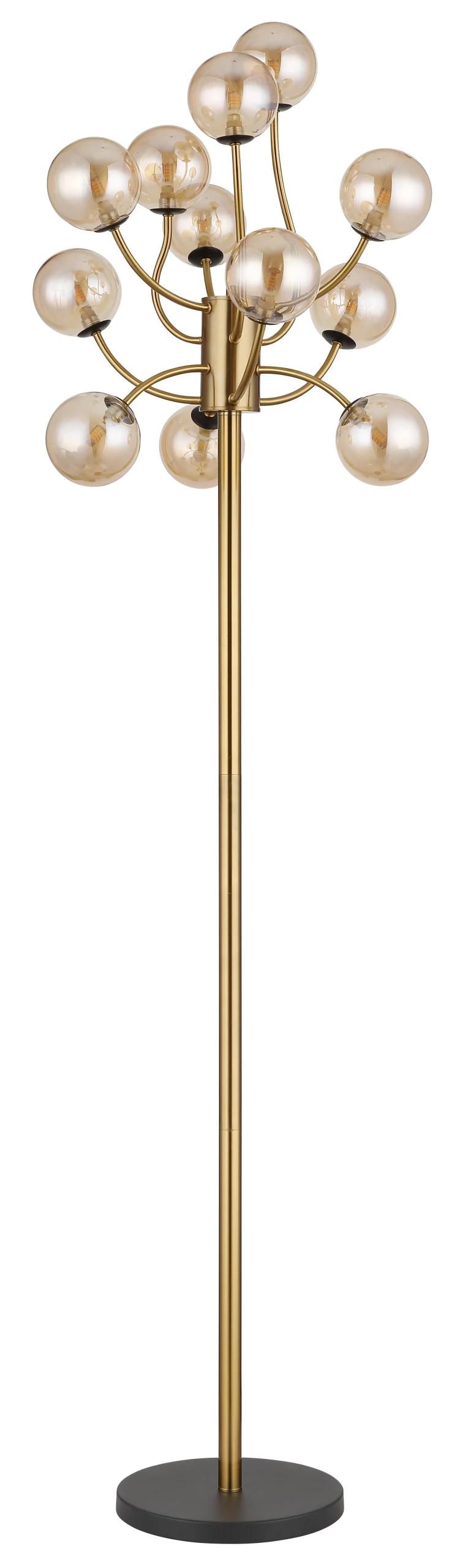 56135 12S_b scaled