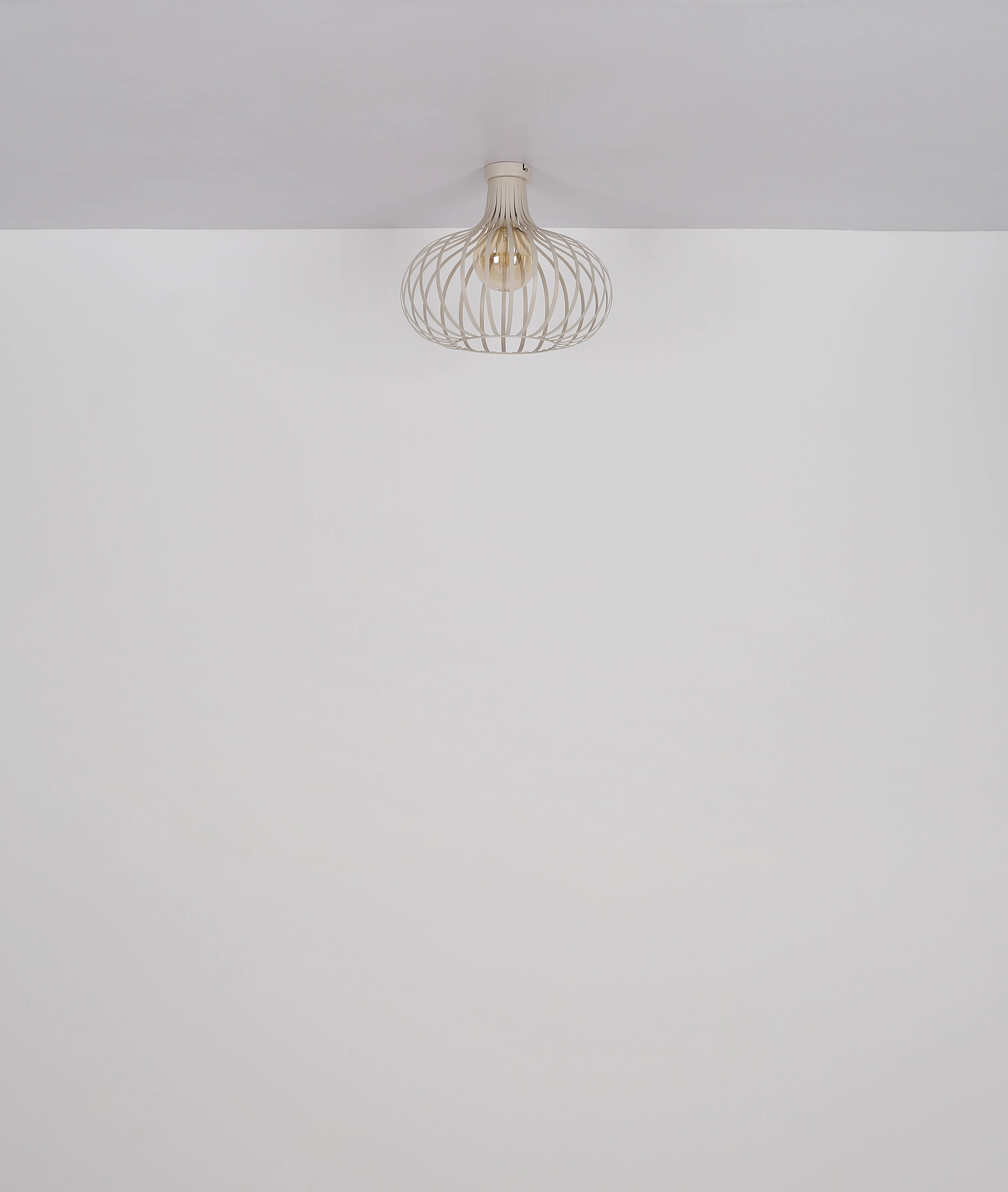 63370119_u