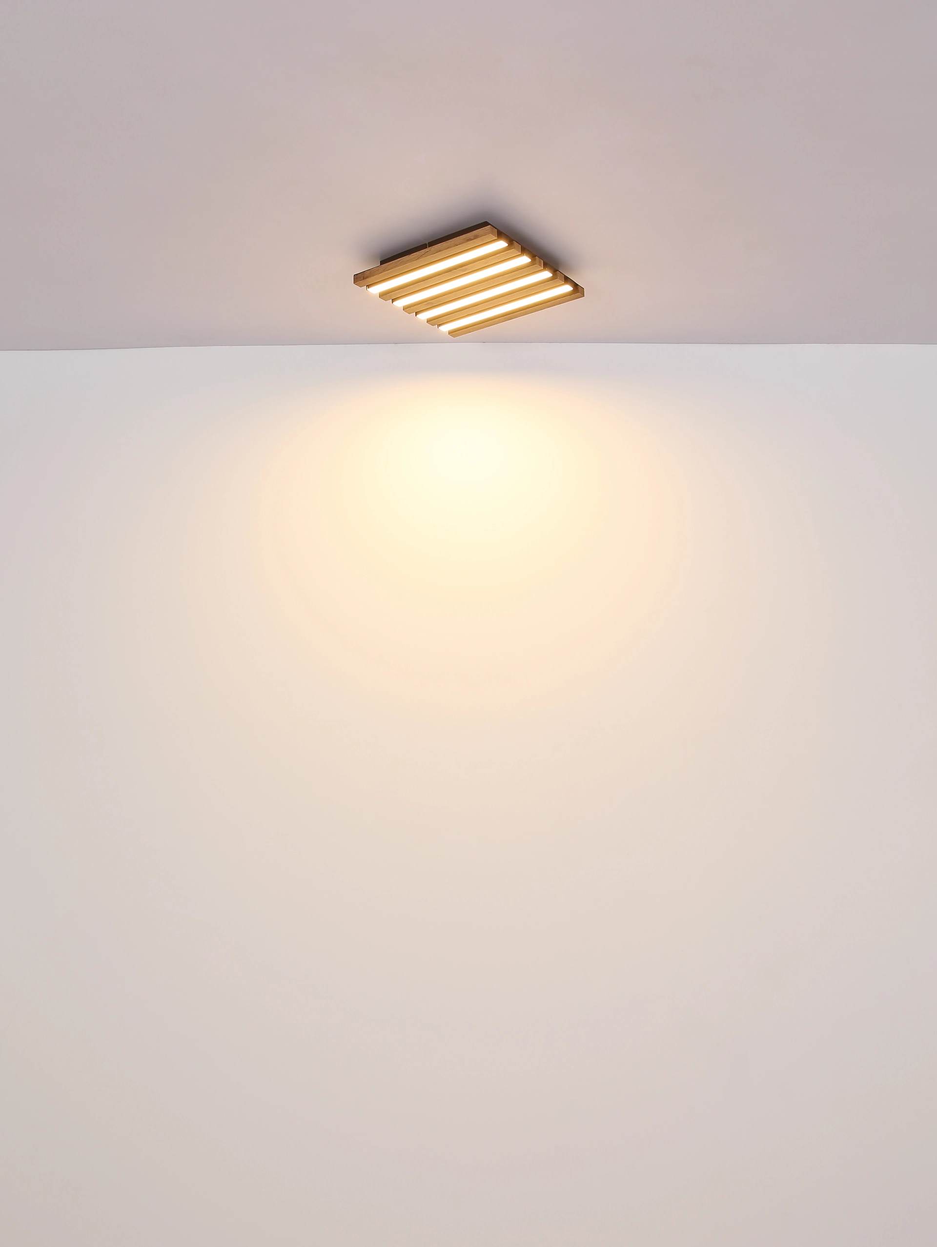 67347D1_t