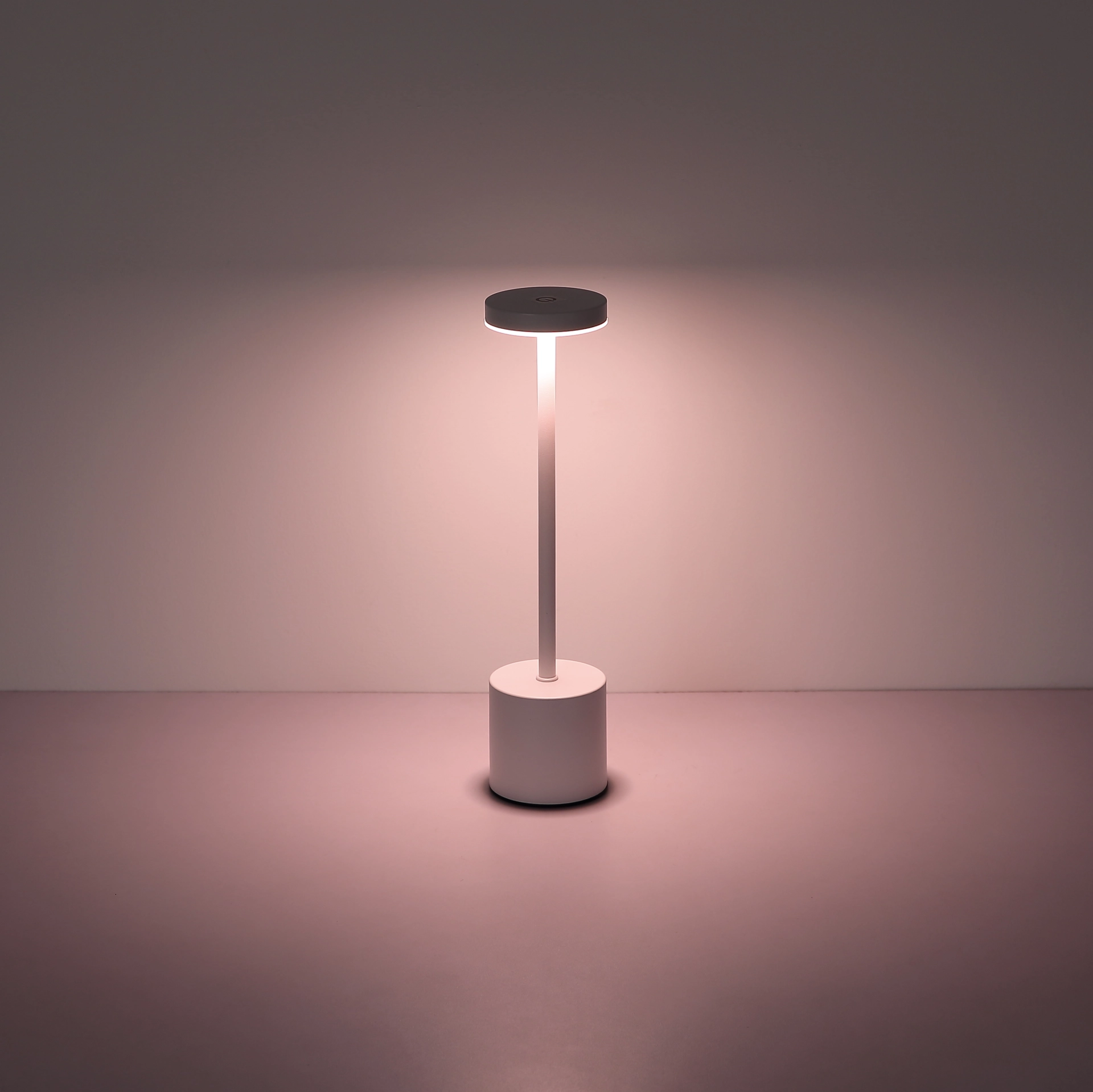 210190W_s
