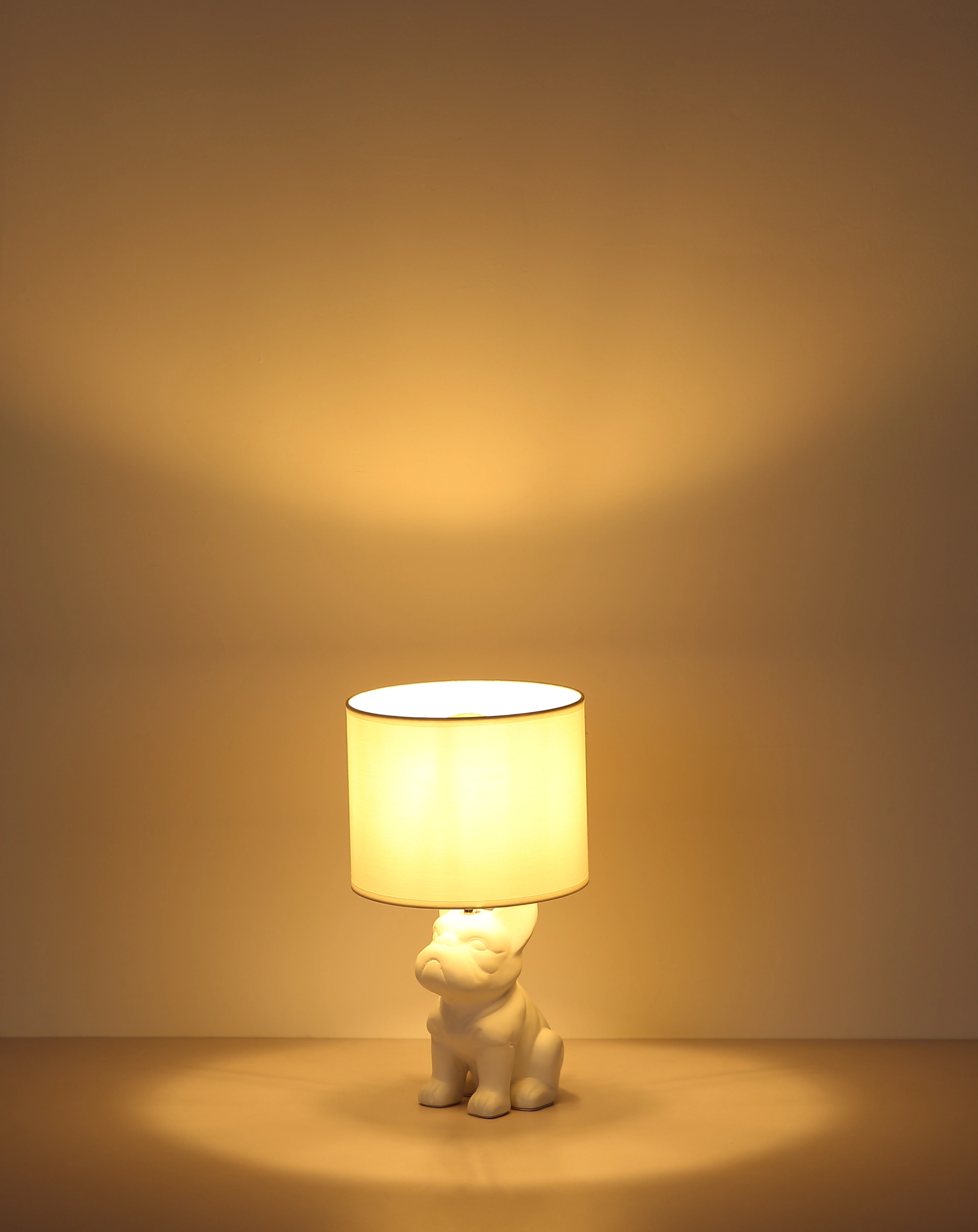 21741W_s