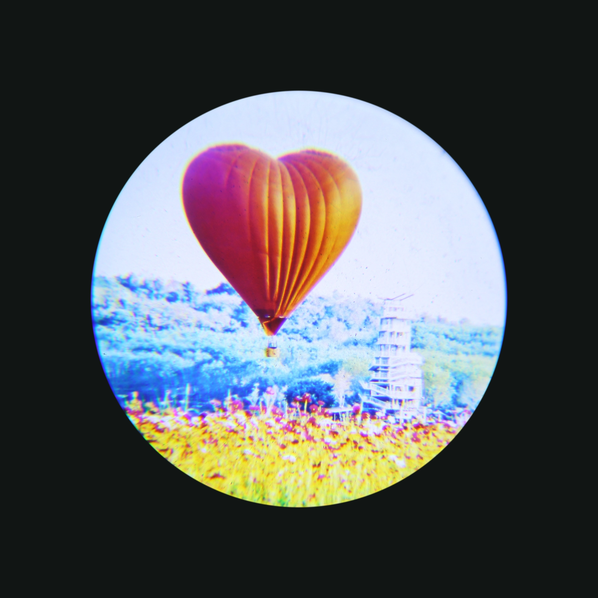 28087_sj