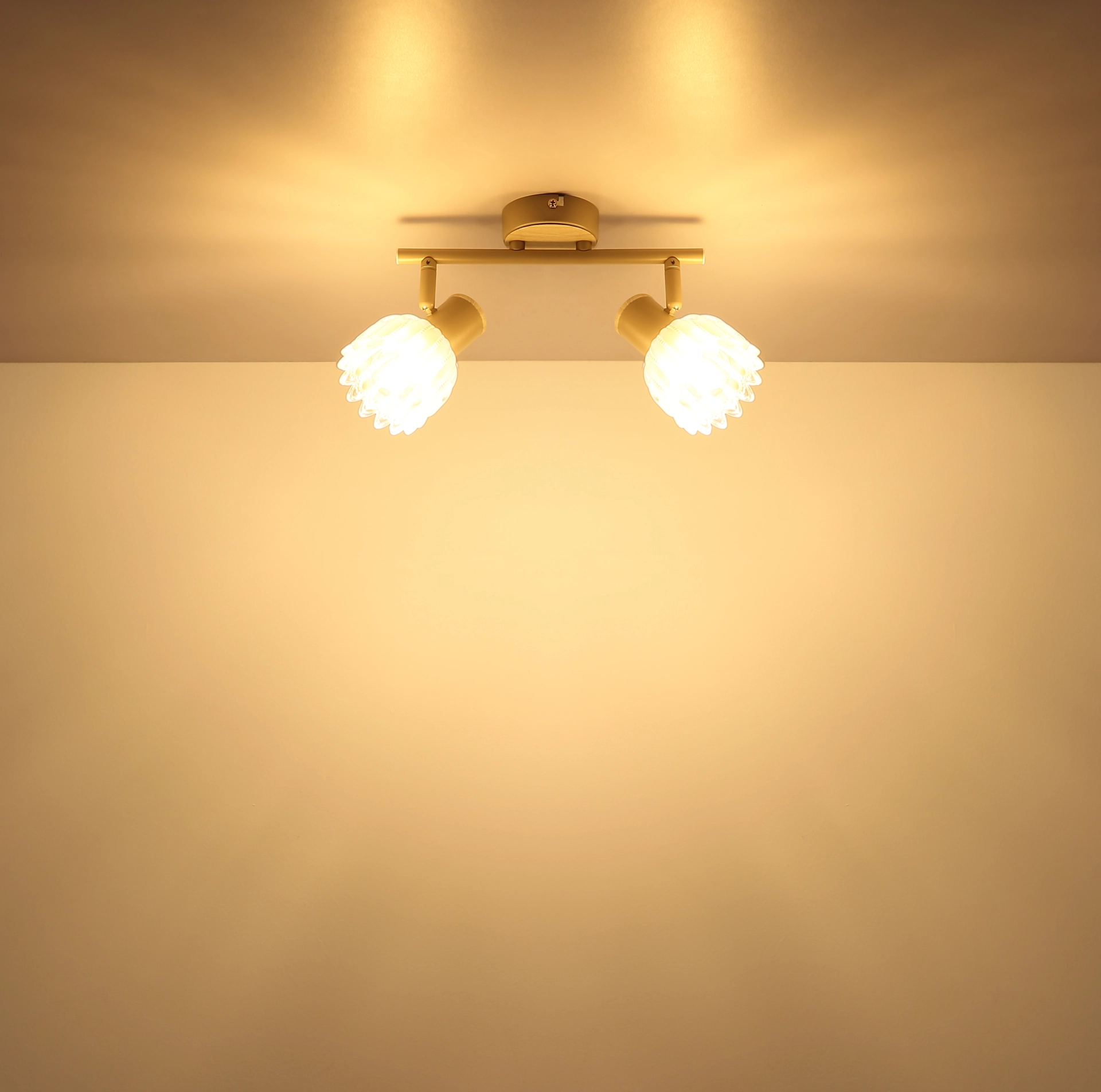 54317 2_s