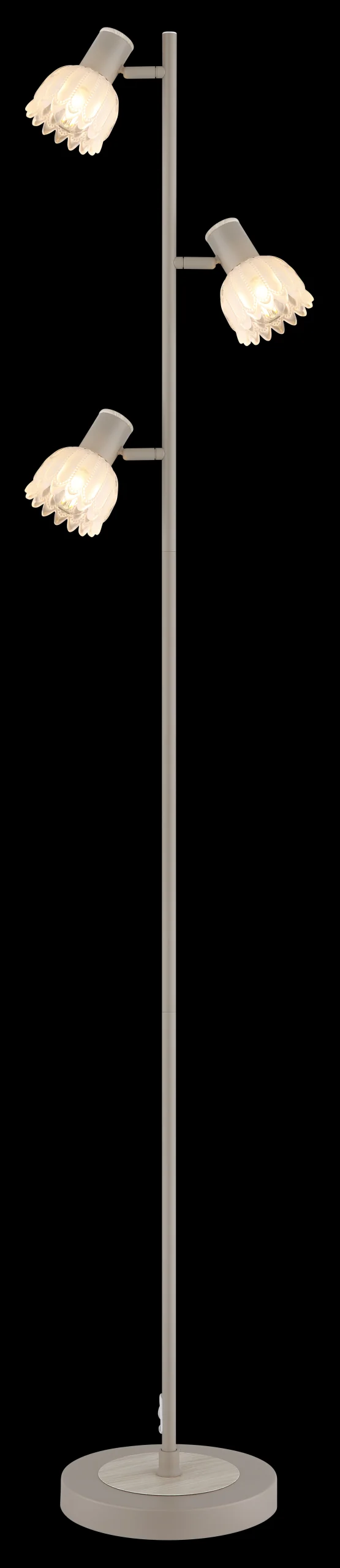 54317S_ax scaled