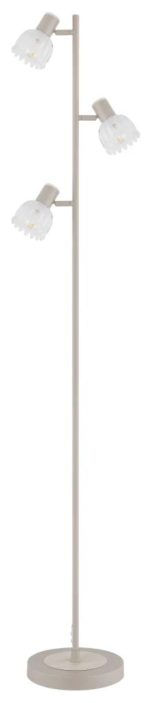 54317S_b scaled