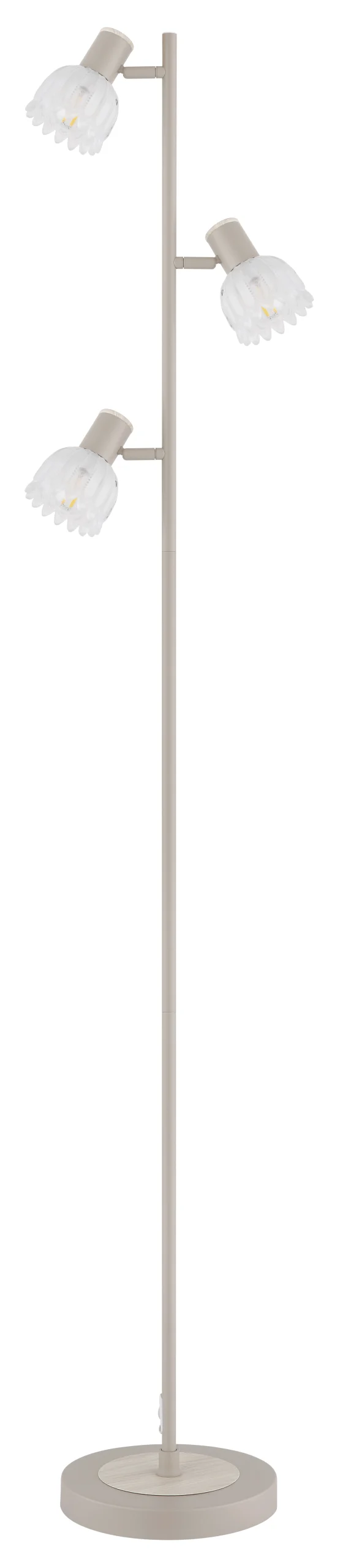 54317S_b scaled