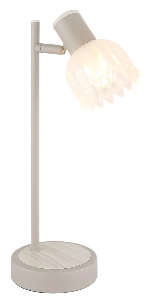54317T_a scaled