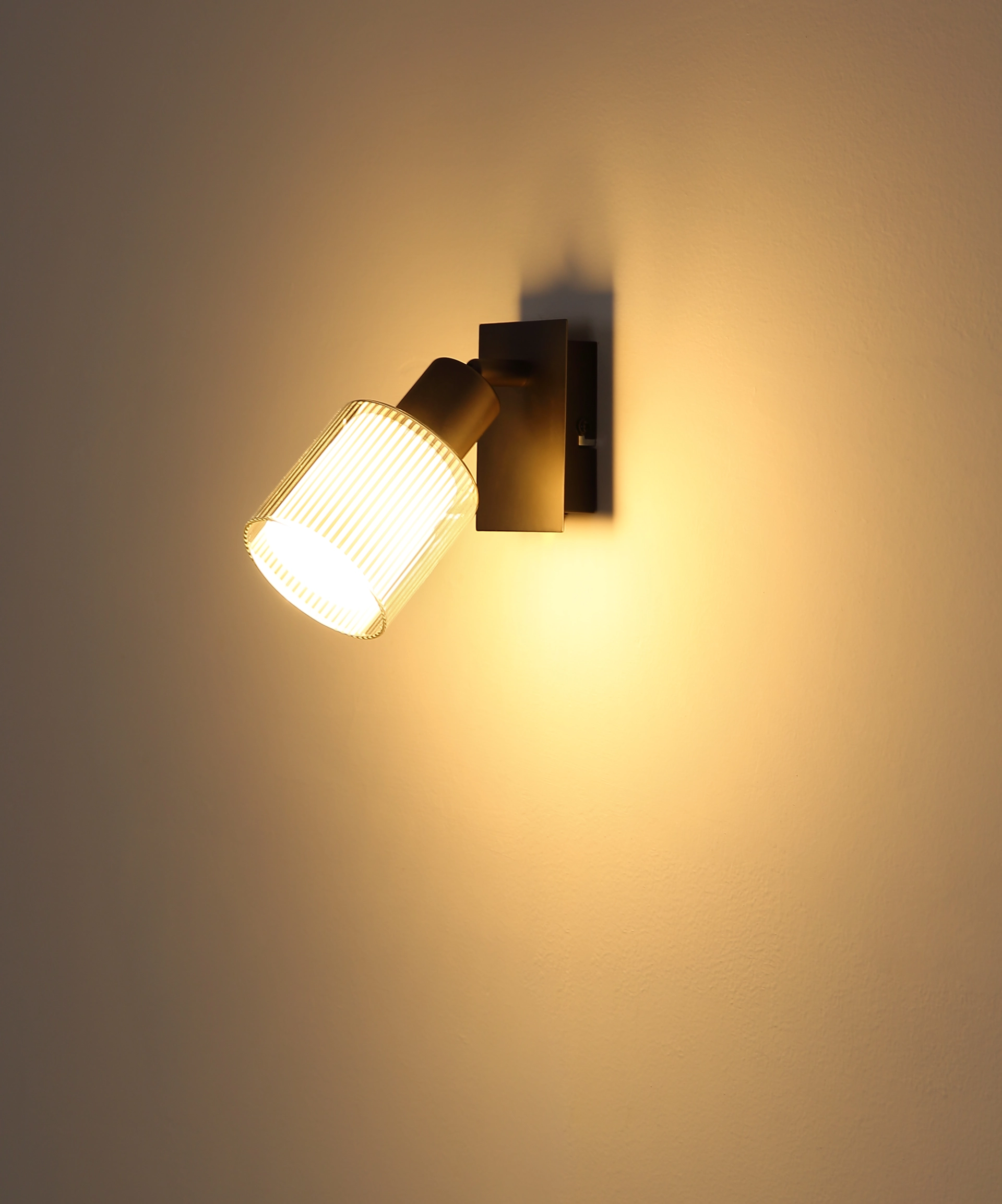 54456 1_s