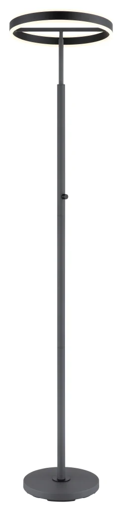 59101_a scaled