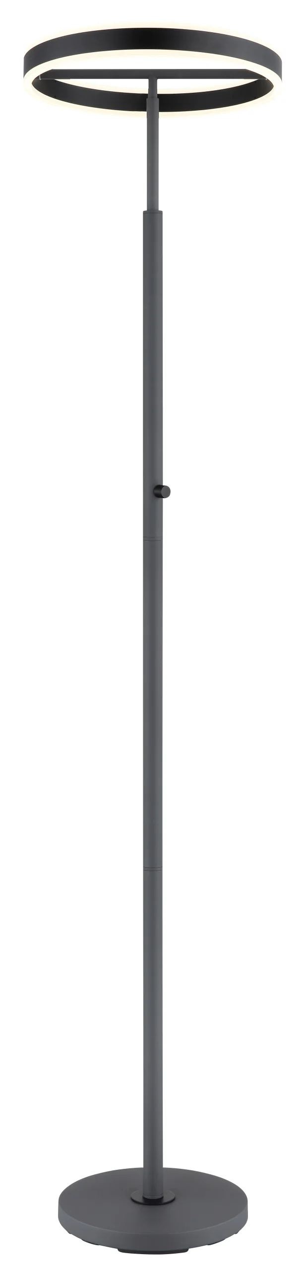 59101_a scaled
