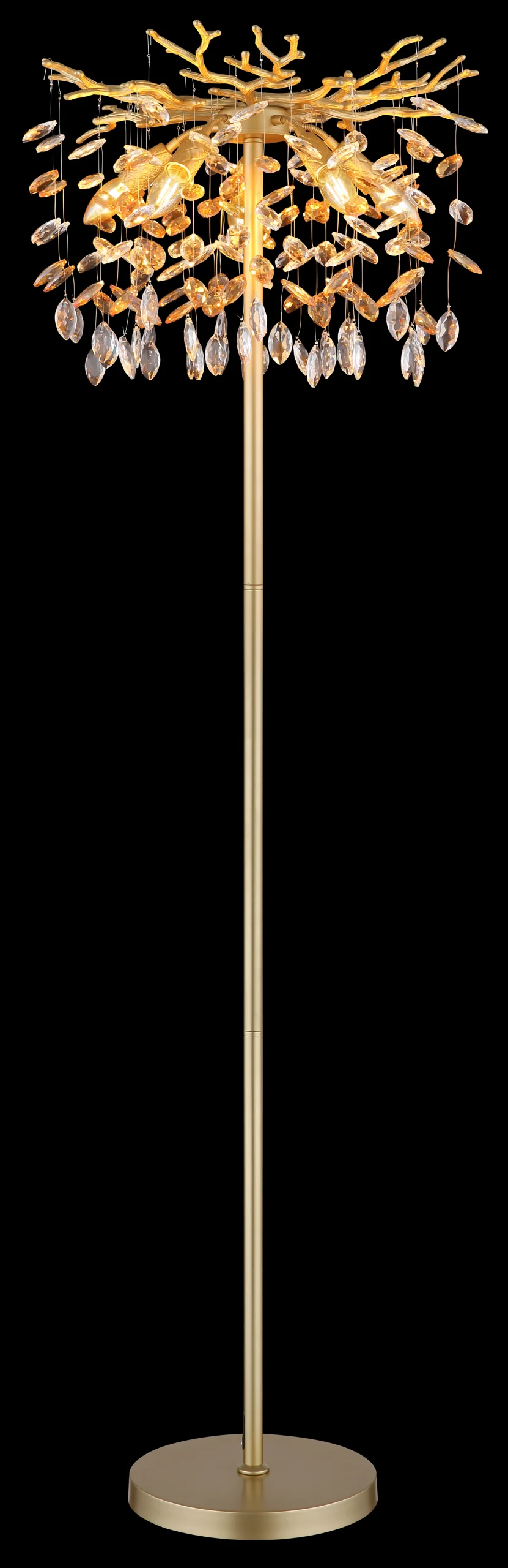 64138SG_ax scaled