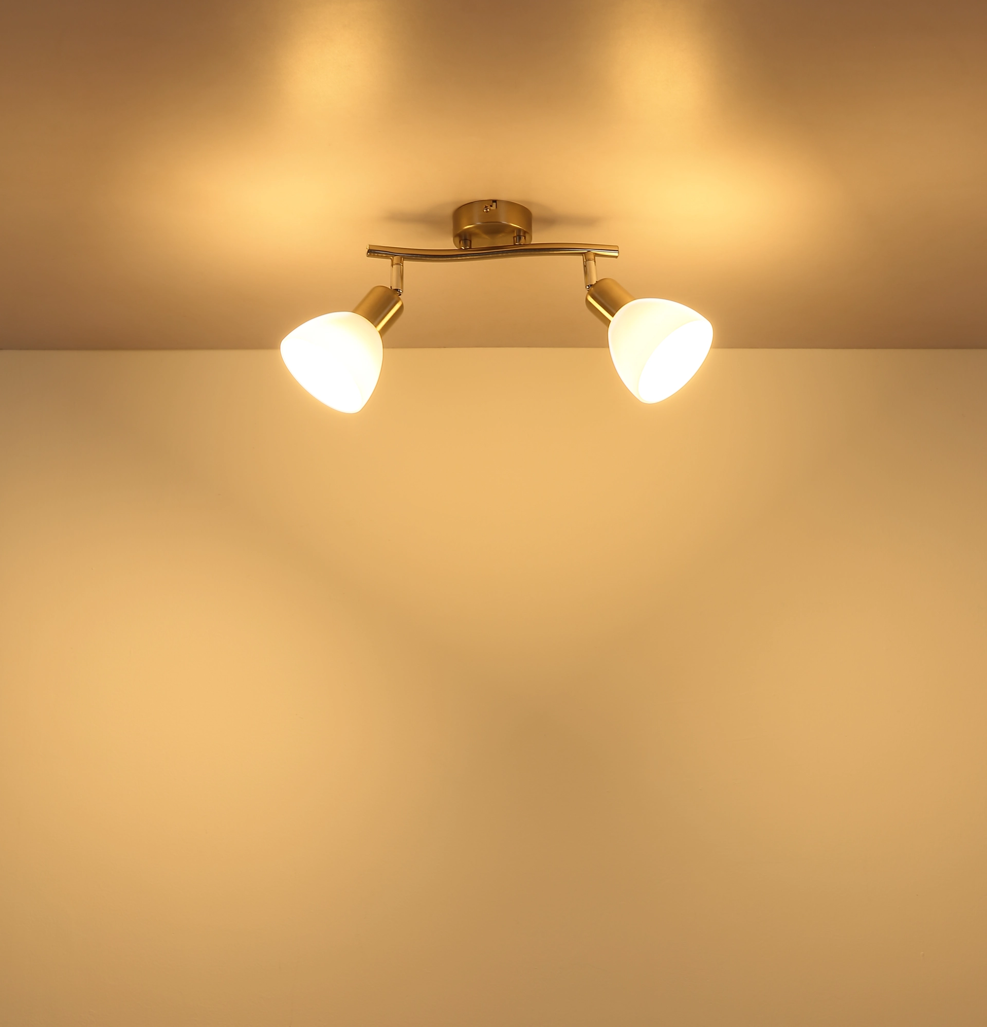 81490201_s
