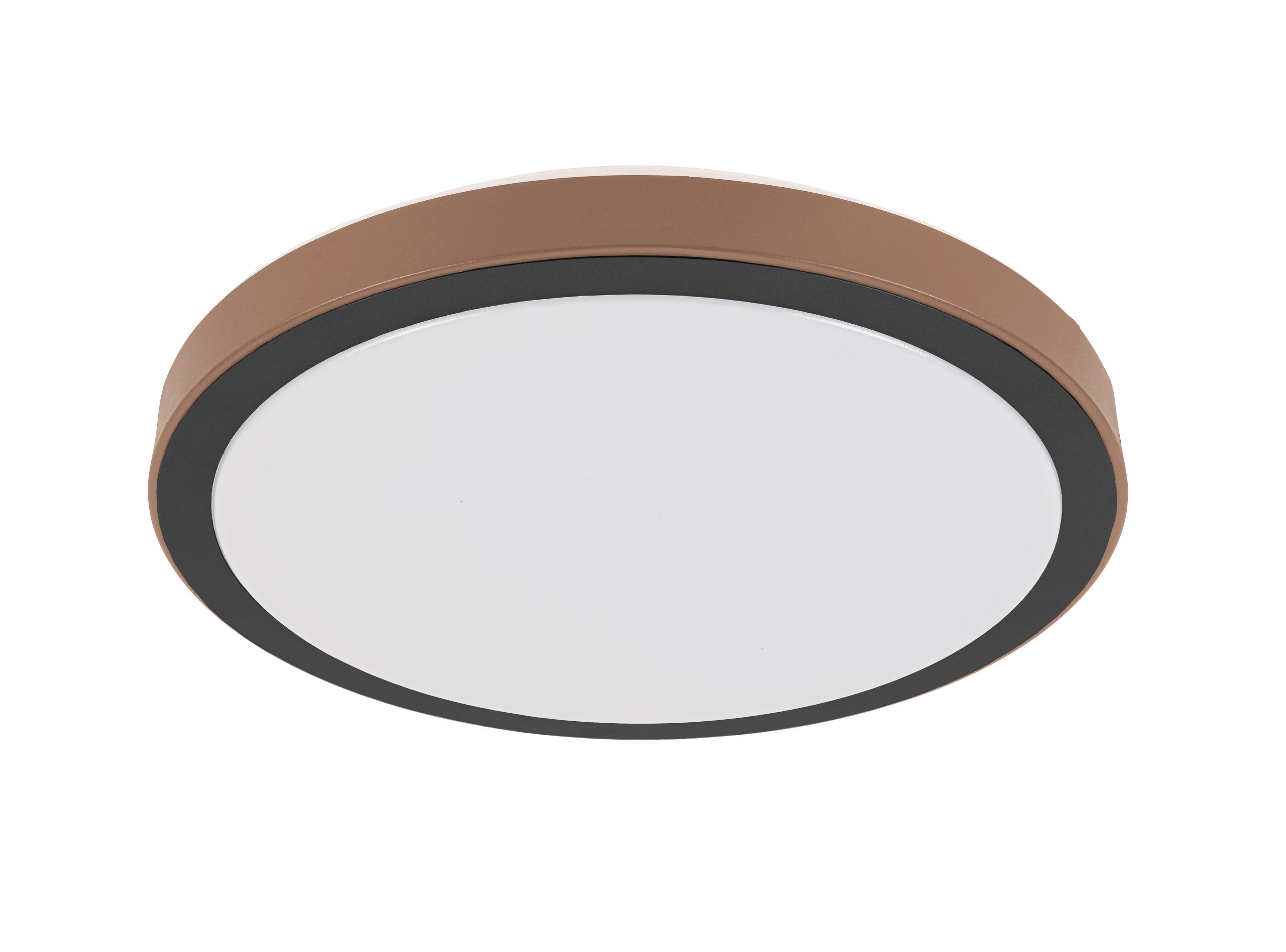 C16116SB_746407_pic2 scaled