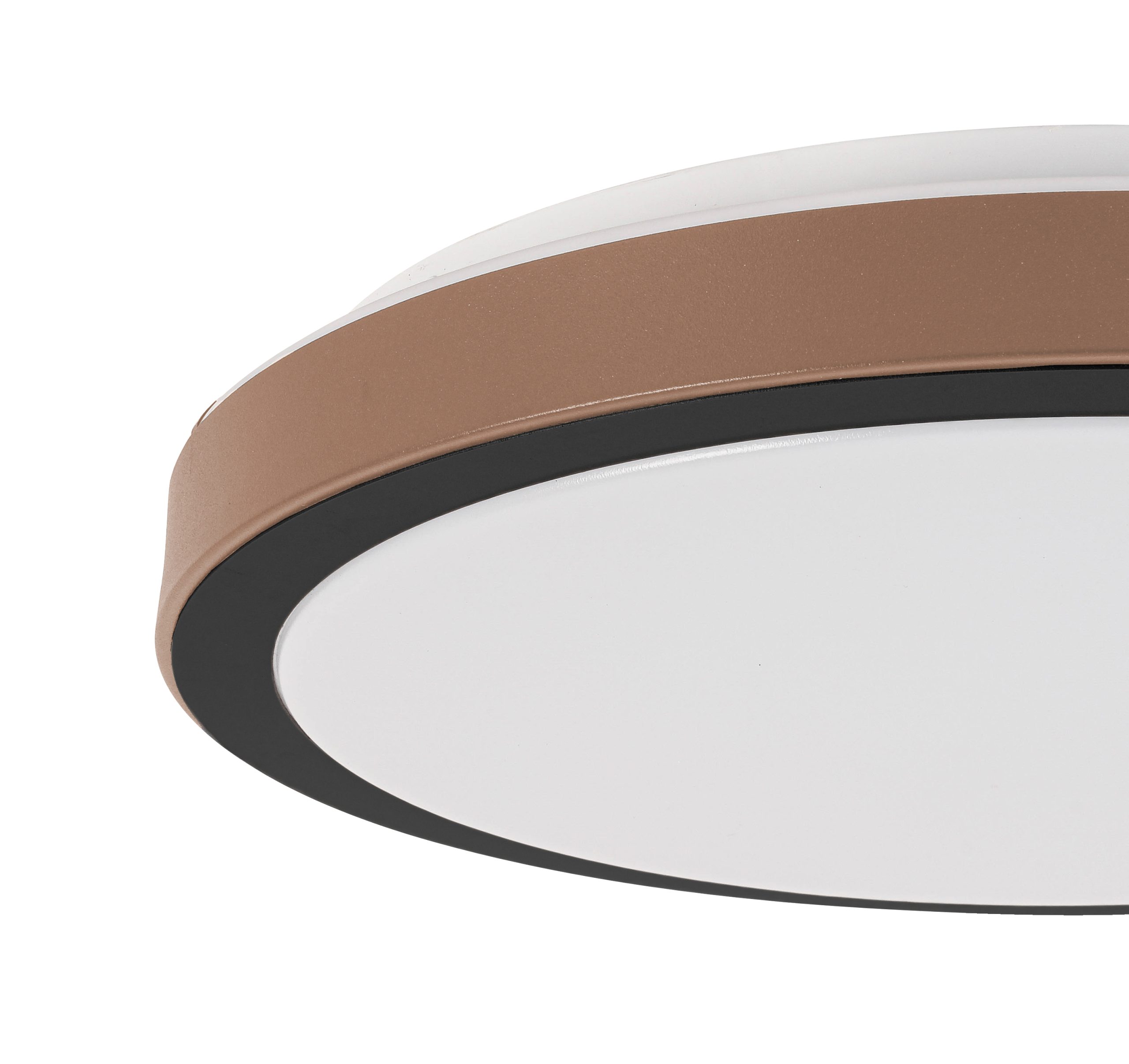 C16116SB_746407_pic5 scaled