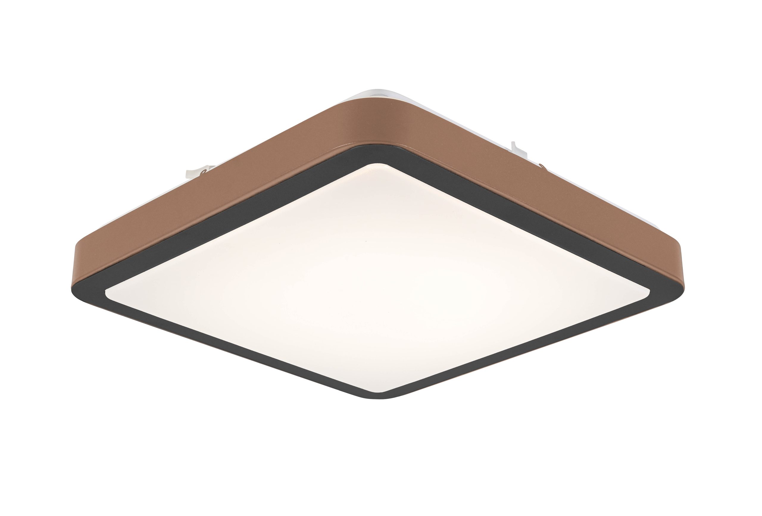 C16117SB_746409_pic1 scaled