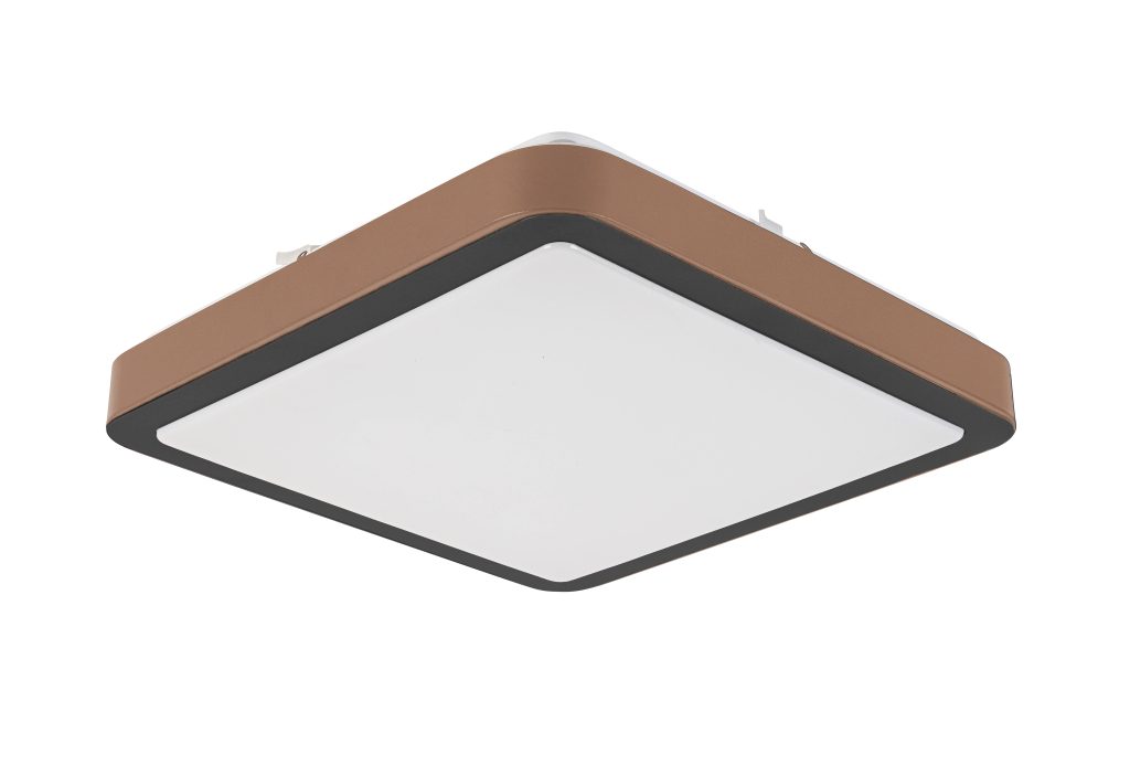 C16117SB_746409_pic2 scaled