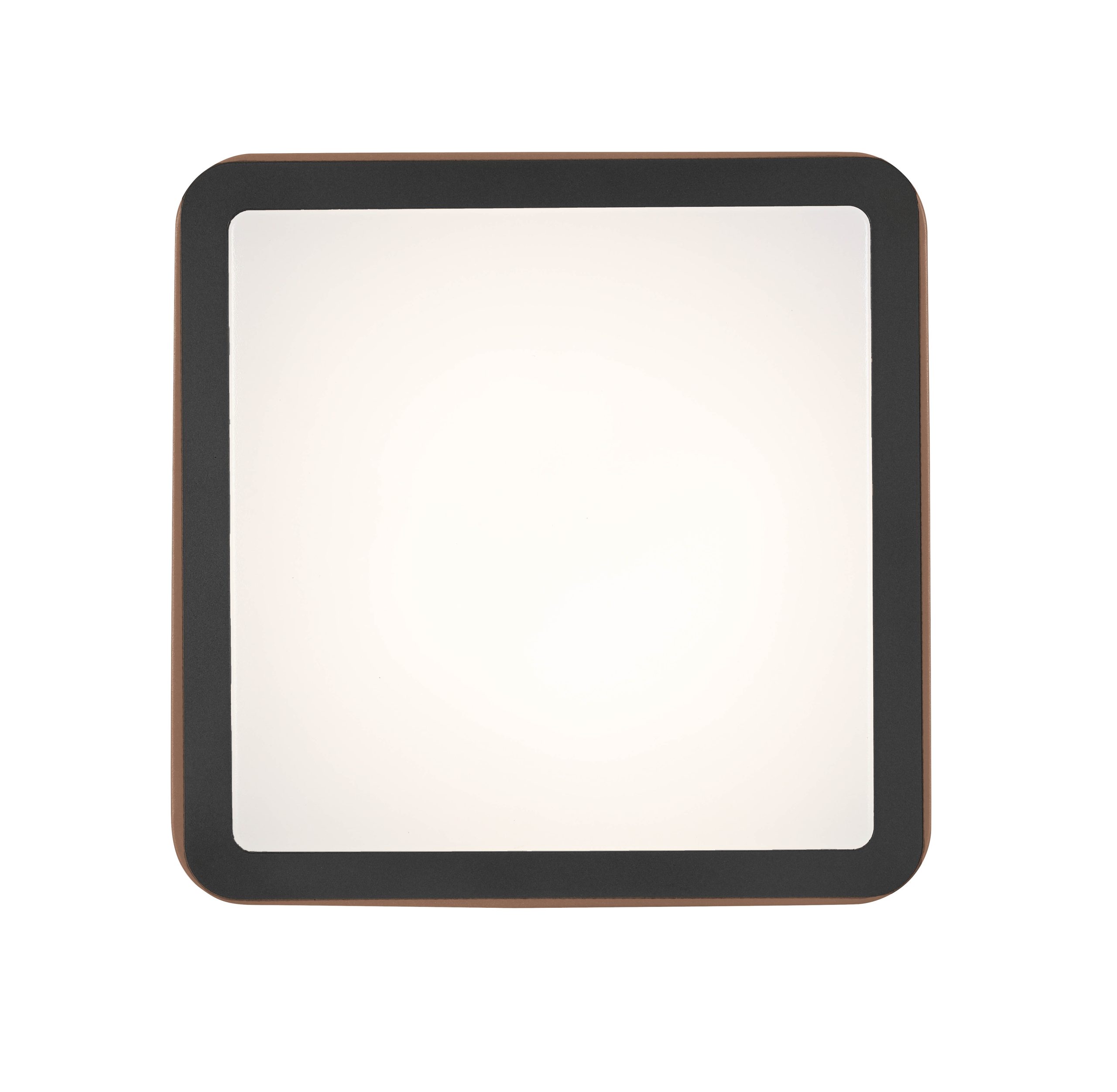 C16117SB_746409_pic3 scaled