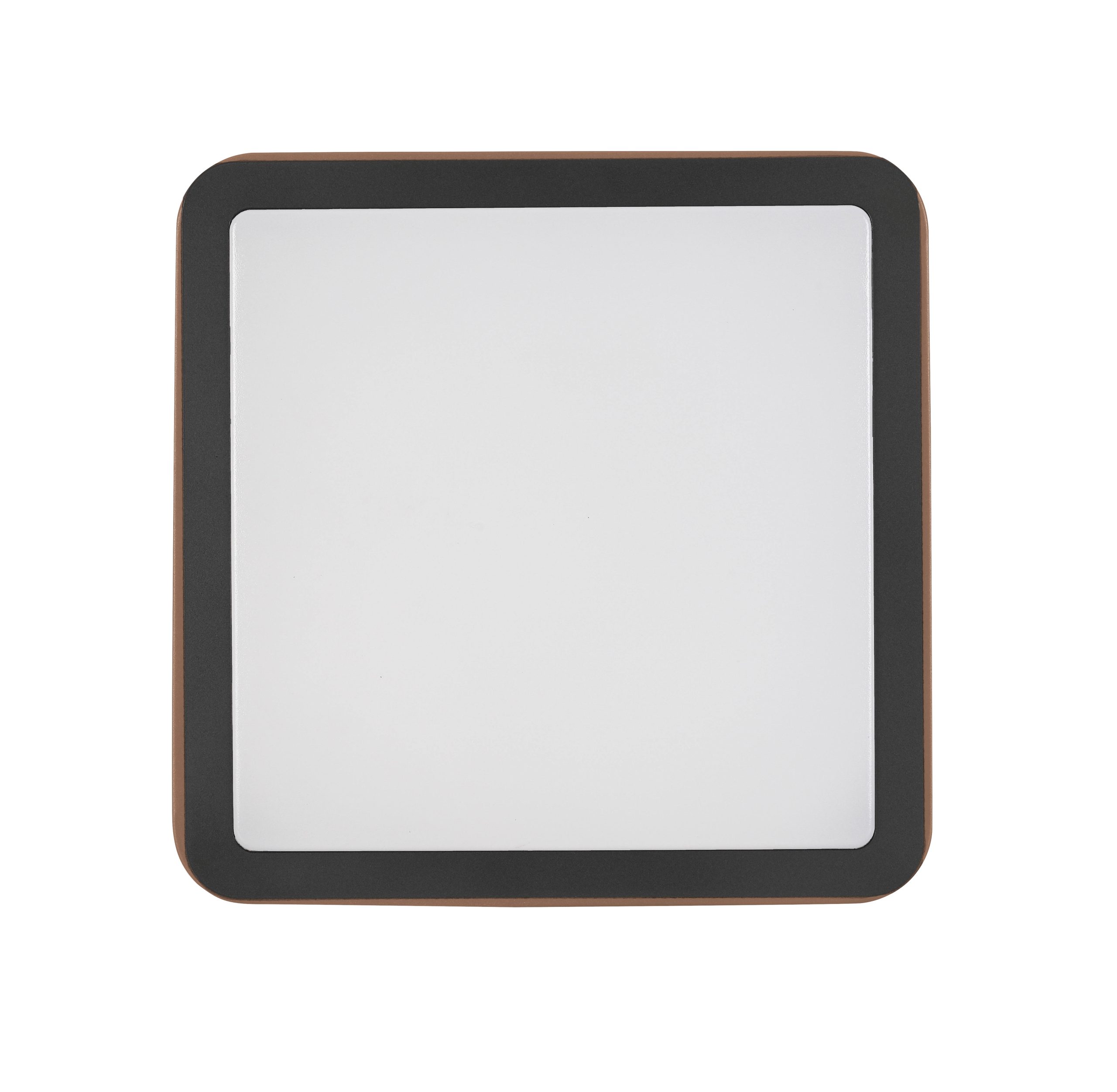 C16117SB_746409_pic4 scaled