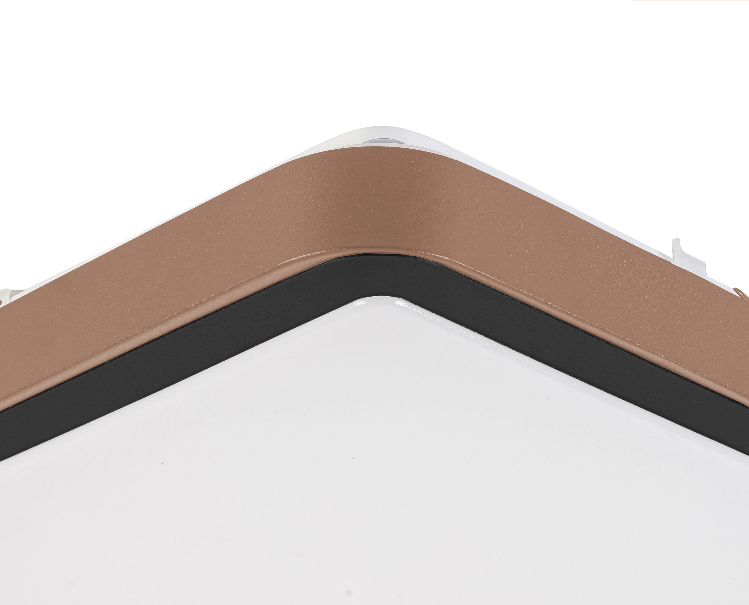 C16117SB_746409_pic6 scaled