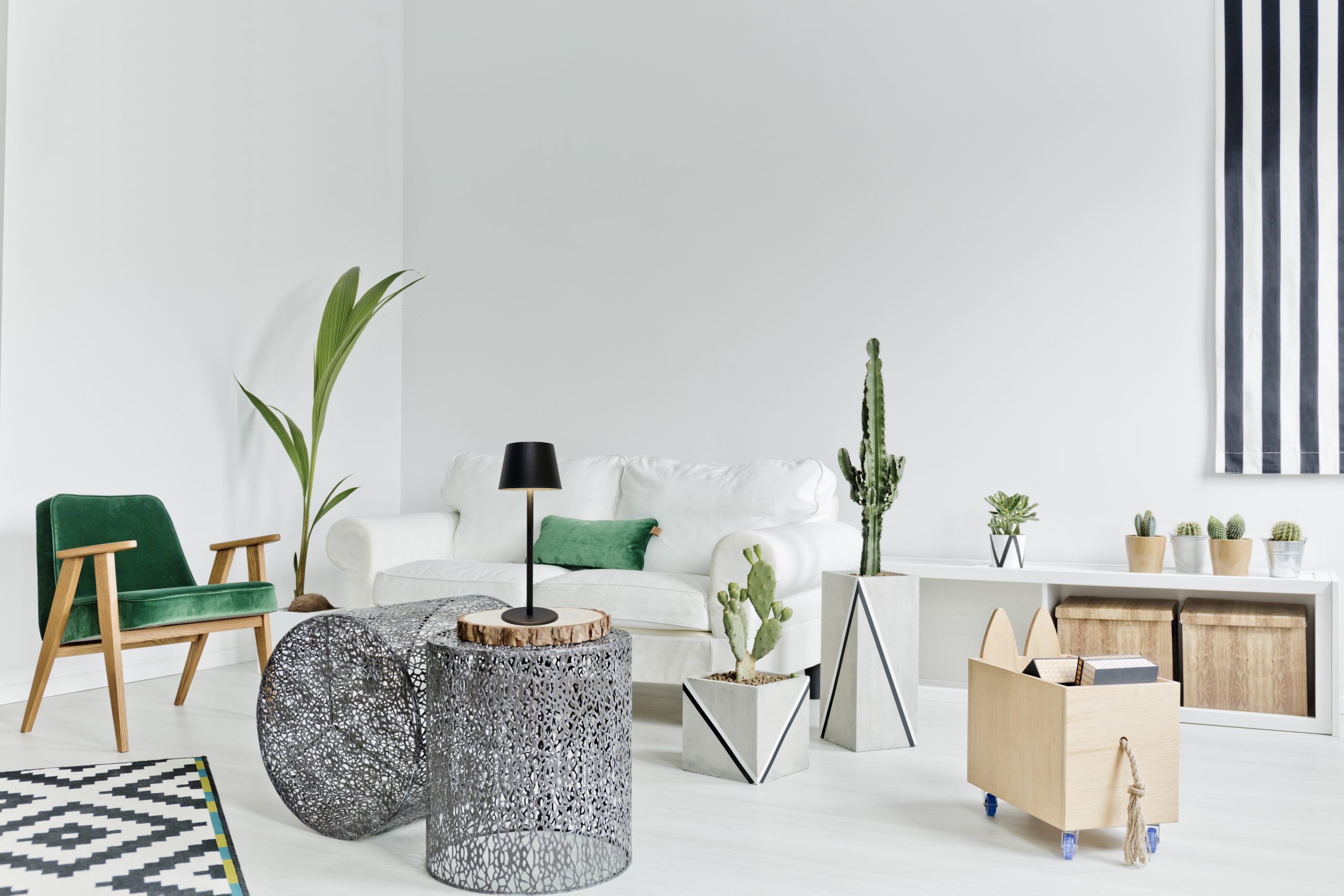 C31770SB_722025_pic10_Milieu scaled