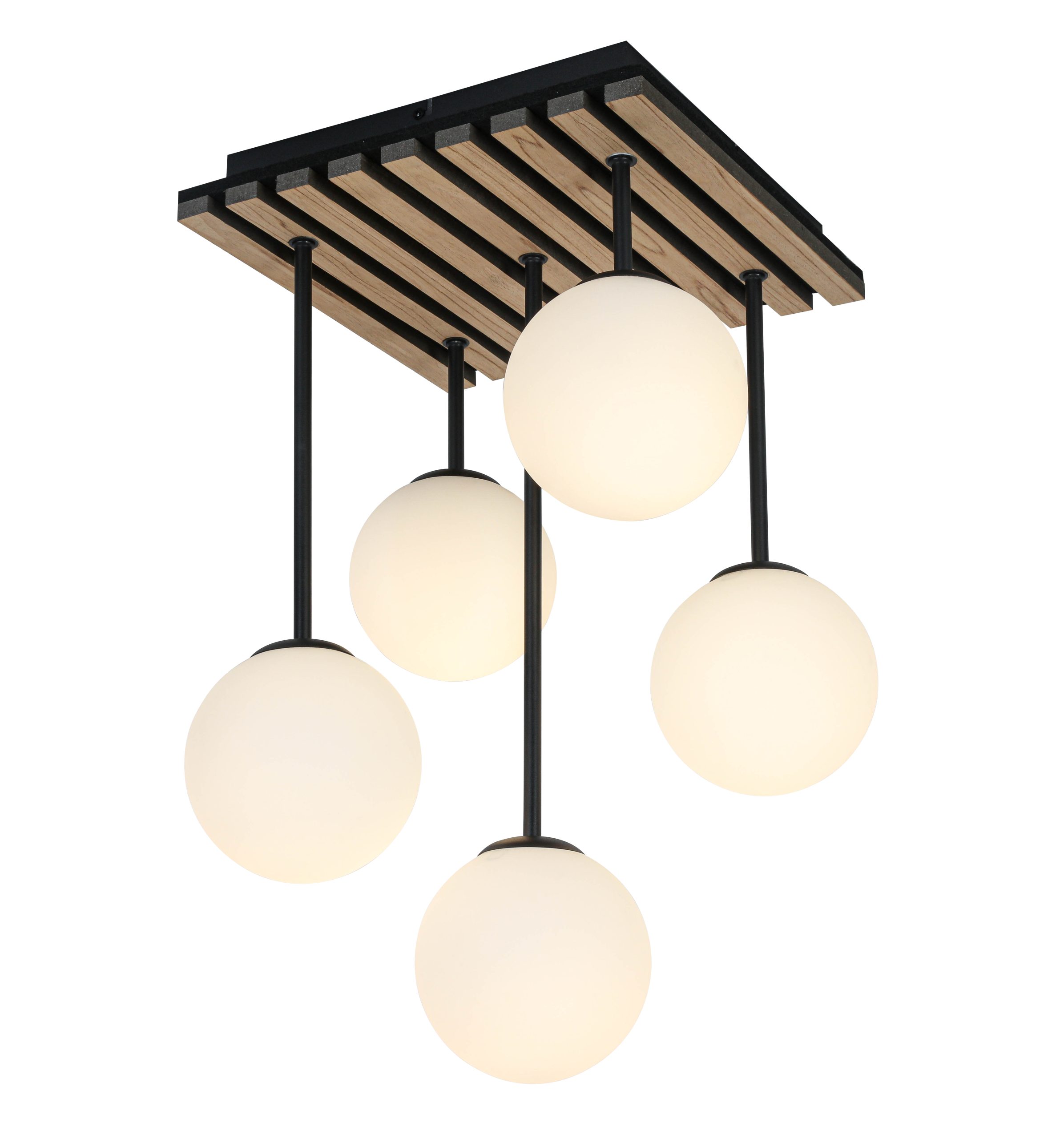 C17026SB_742005 5_pic1 scaled