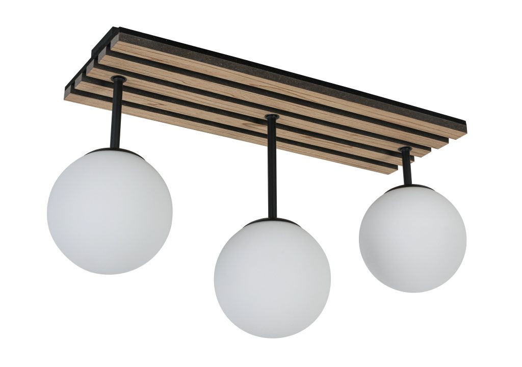 C17027SB_742005 3_pic2 scaled