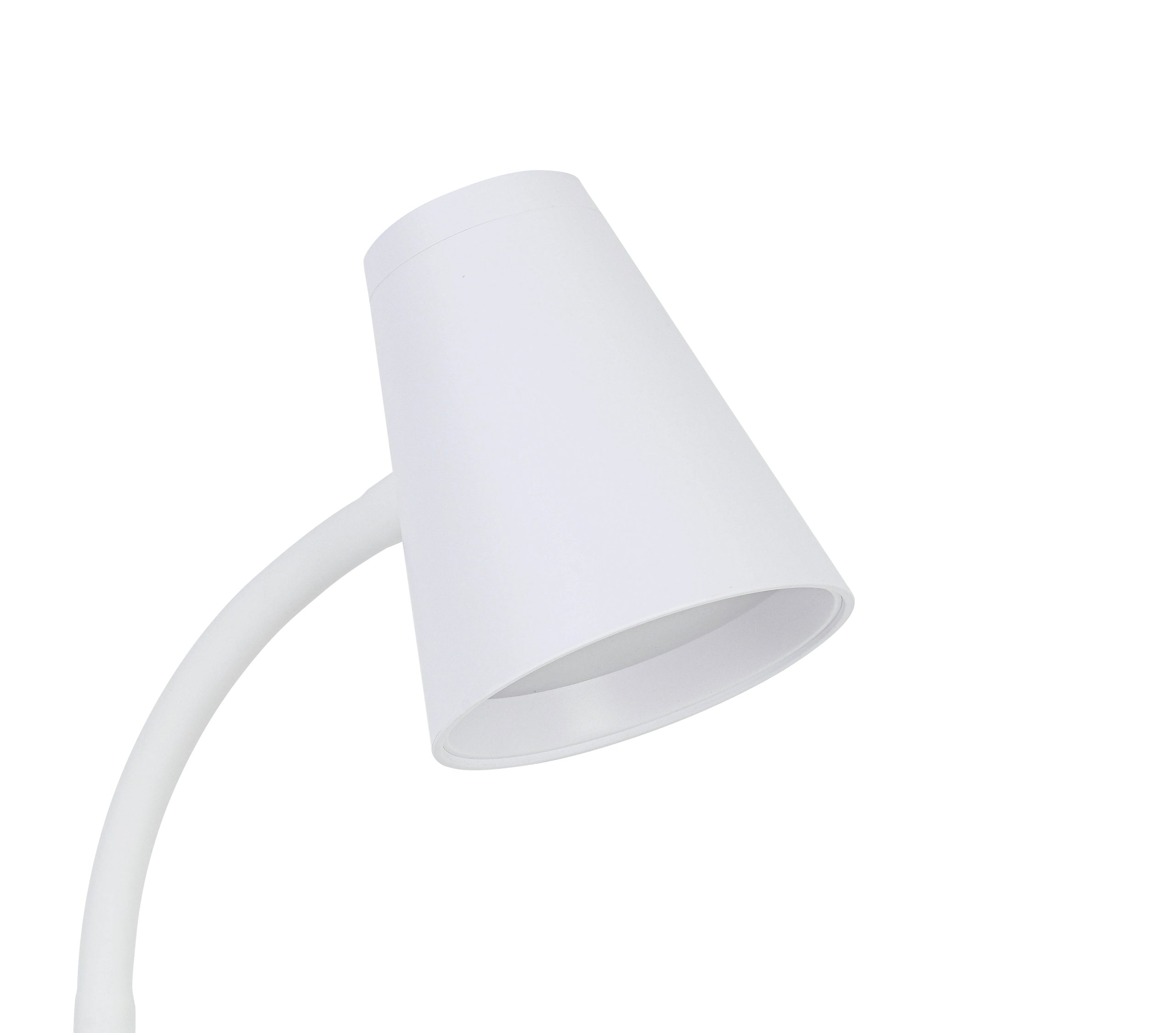 C32491SB_20301_pic9 scaled