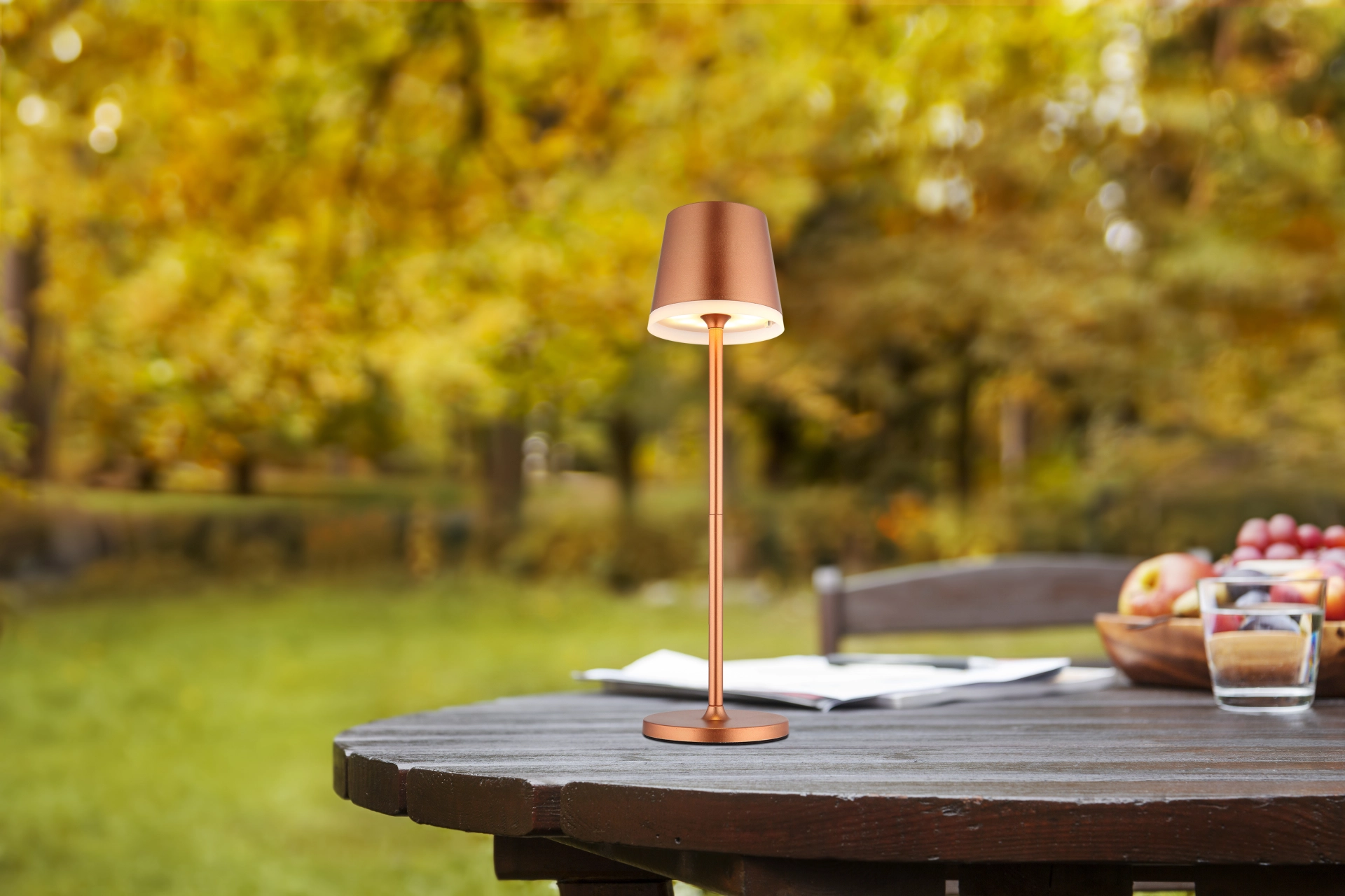 36637RM_am2
