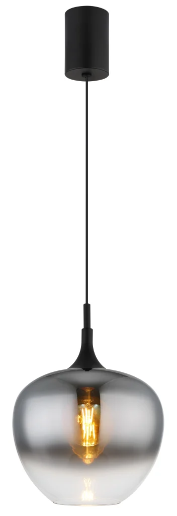 15548H1L_a scaled
