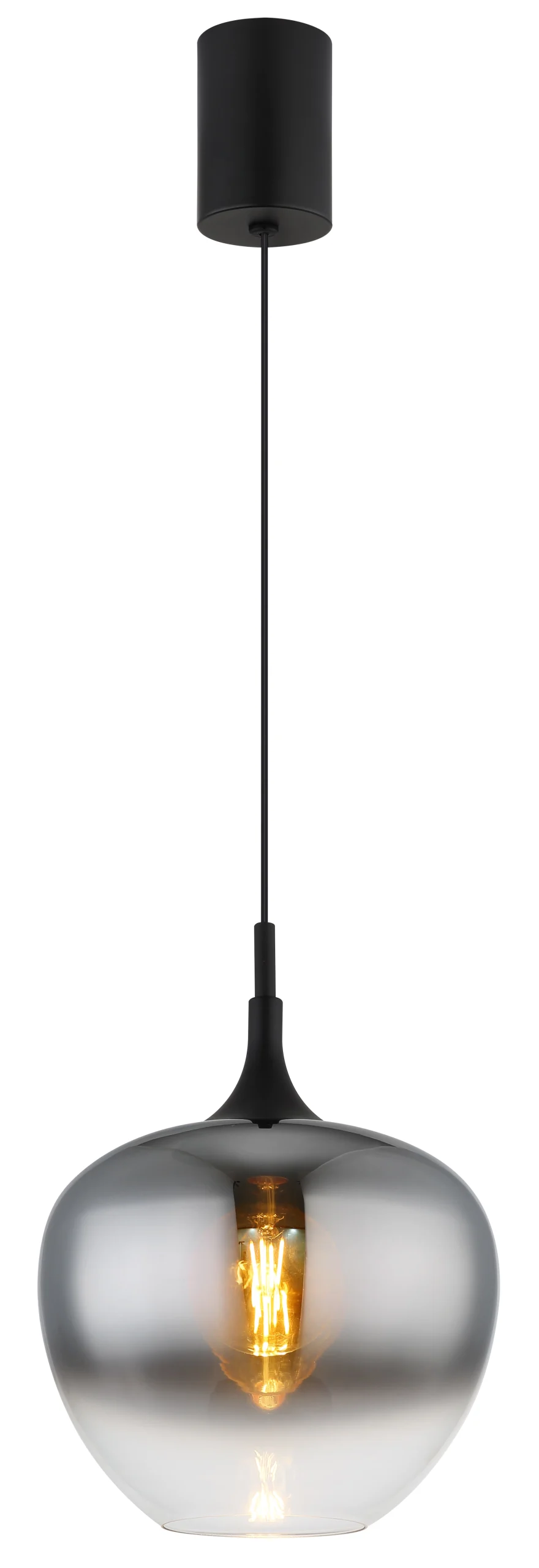 15548H1L_a scaled