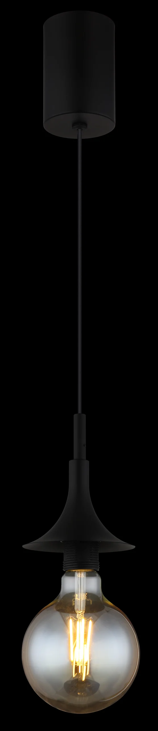 15548Z_ax scaled