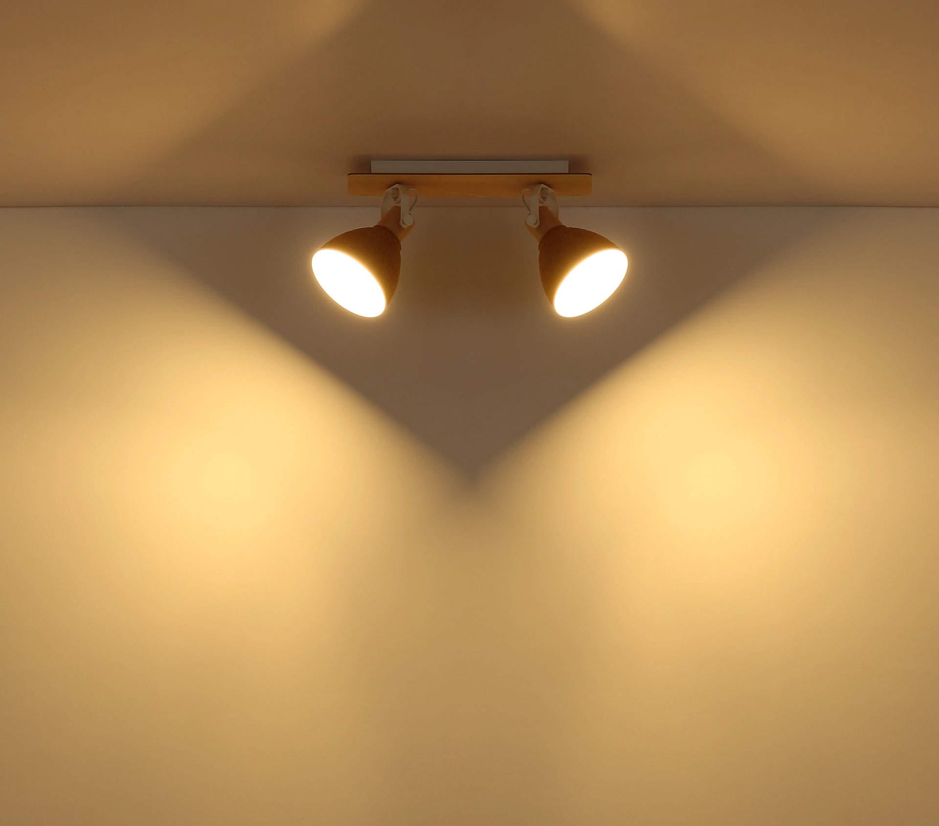 16466 2_s