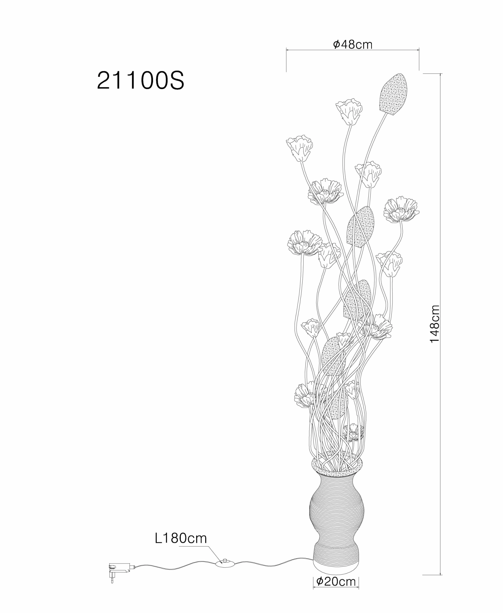 21100S_zld