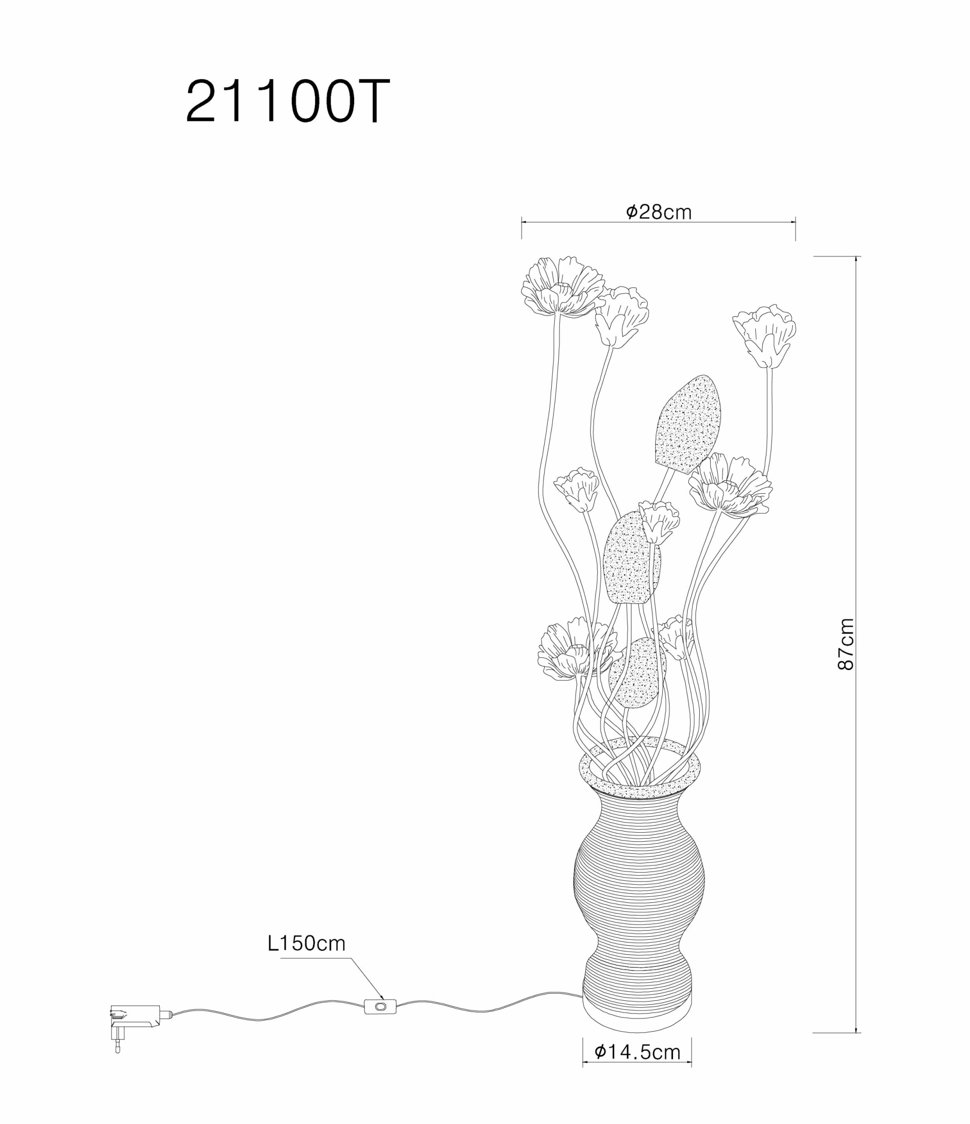 21100T_zld