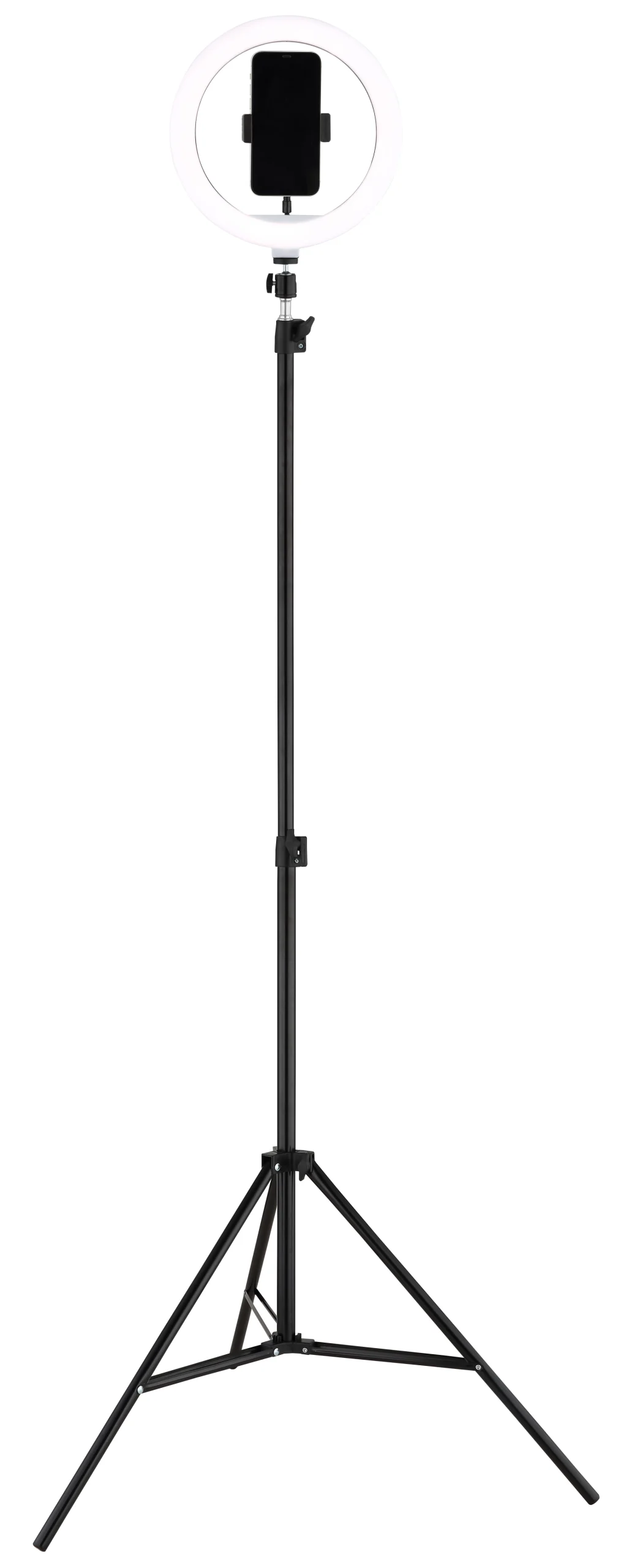 25897_am scaled