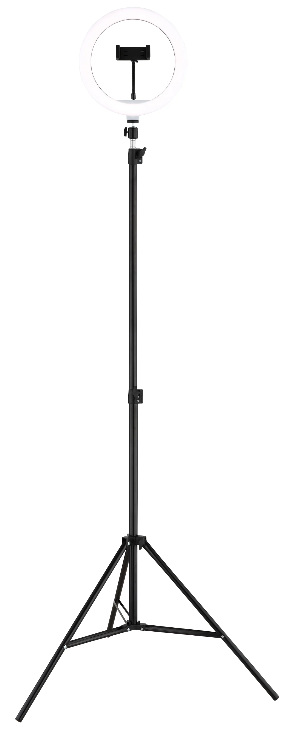 25897_c scaled