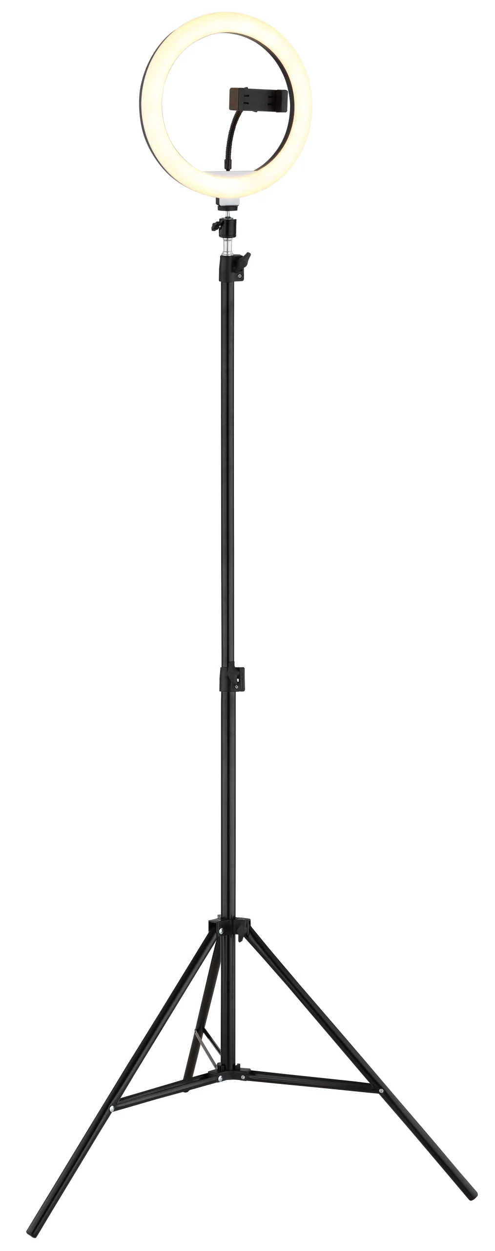 25897_f scaled