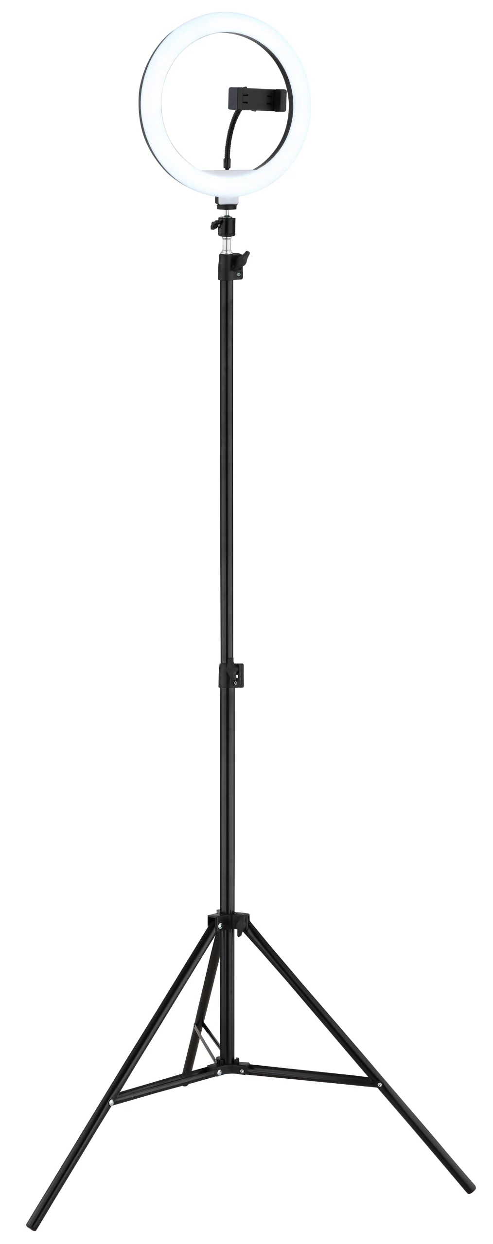 25897_g scaled