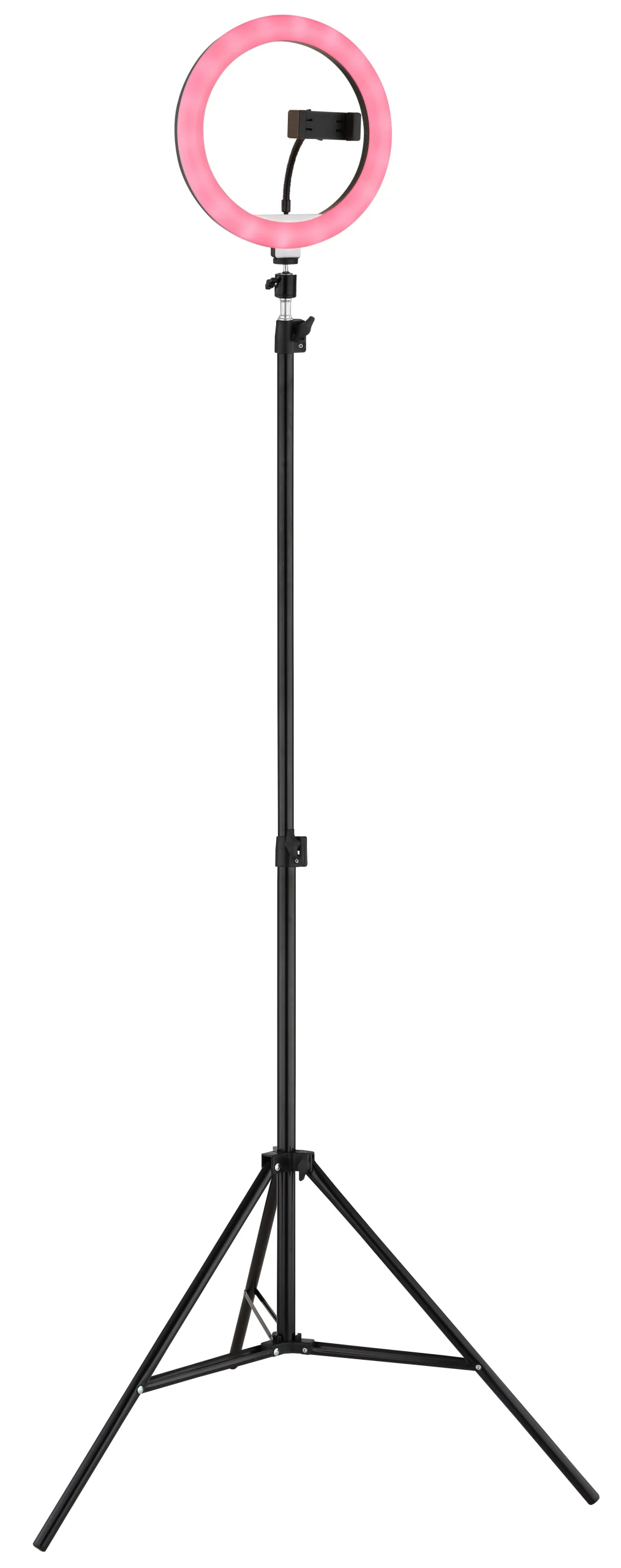 25897_h scaled