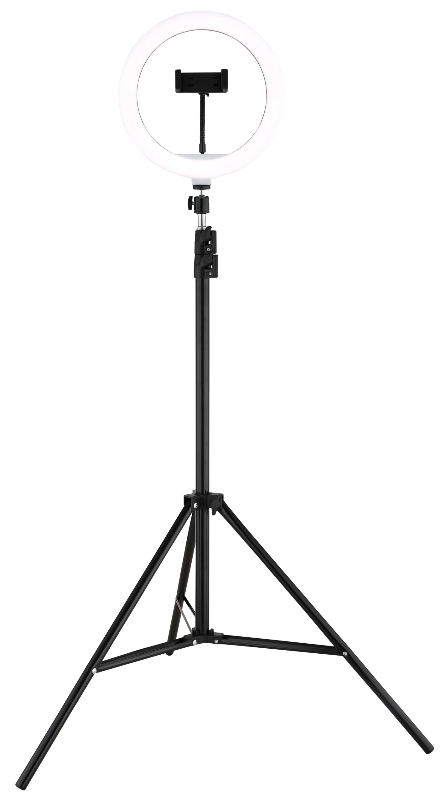 25897_l scaled