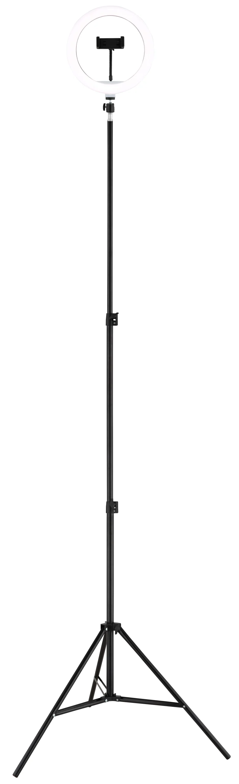 25897_m scaled
