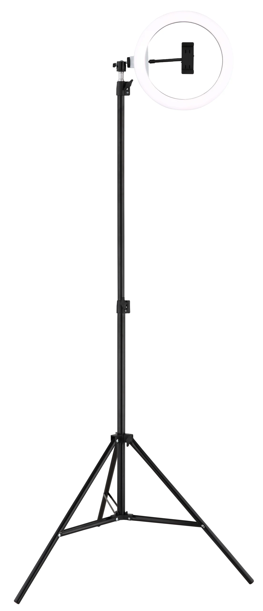 25897_n scaled