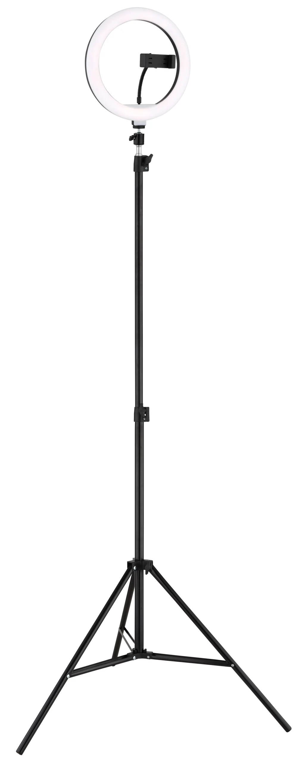 25897_nm scaled